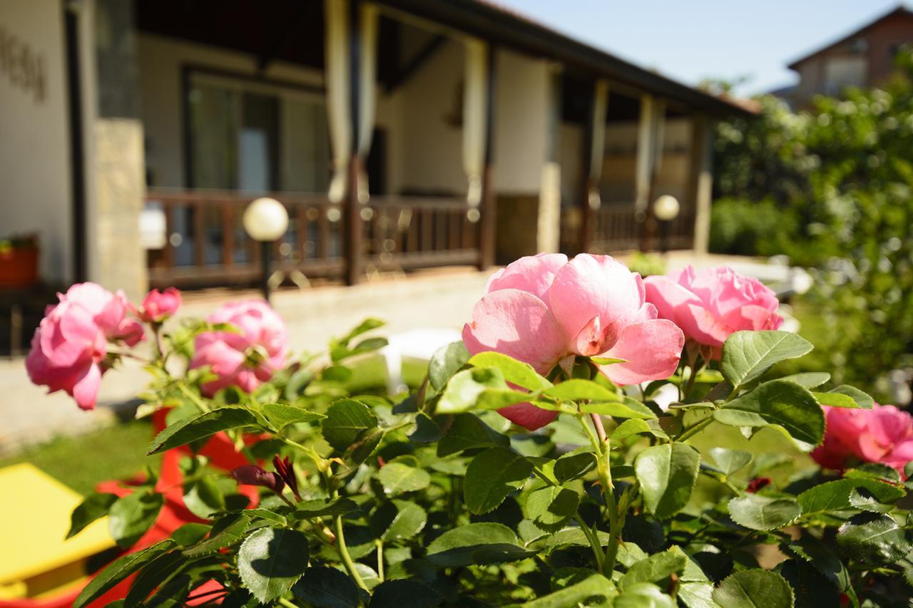 Villa Yanevi Lozenets Bagian luar foto